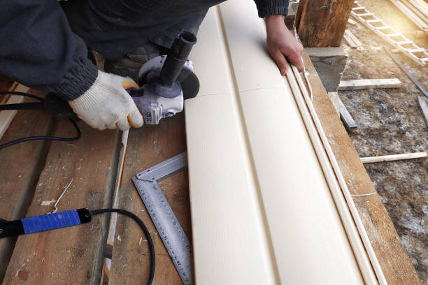 Best Custom Siding Design  in Thedral City, CA